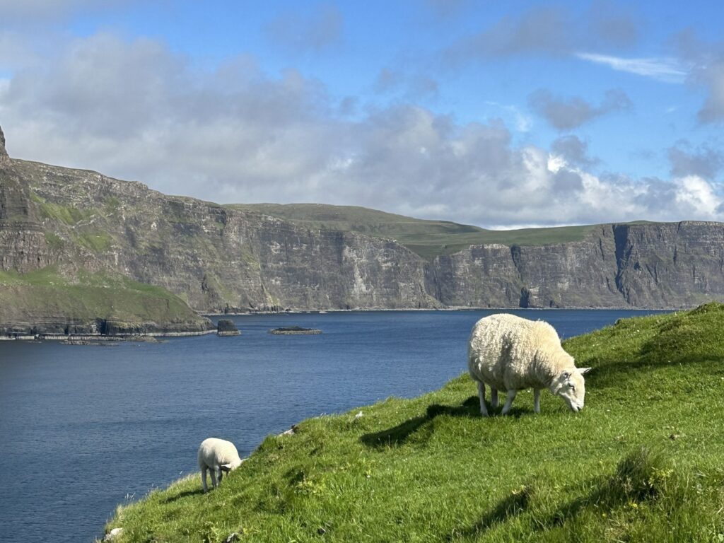 Schottland Rundreise: 8-tägige Rundreise vom Reisespezialisten
