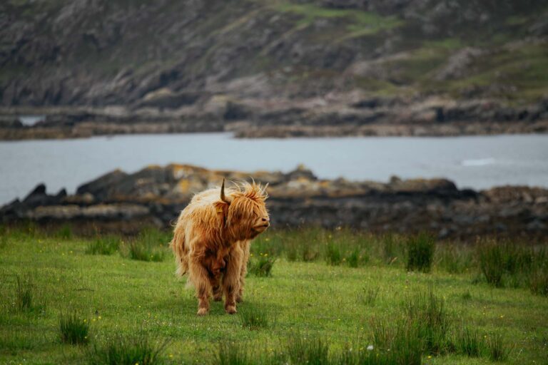 Schottland Rundreise: 8-tägige Rundreise vom Reisespezialisten