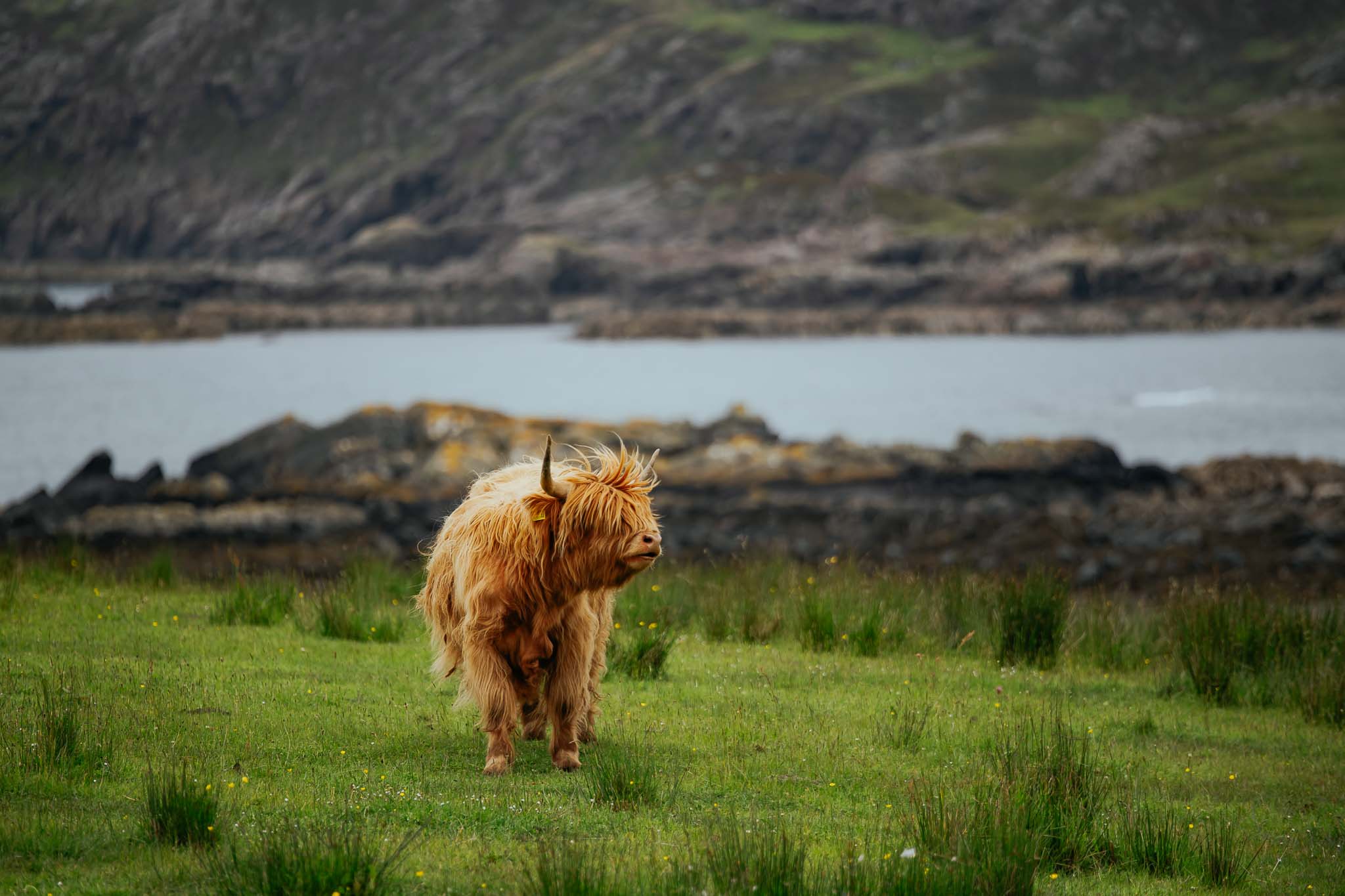 Schottland Rundreise: 8-tägige Rundreise vom Reisespezialisten